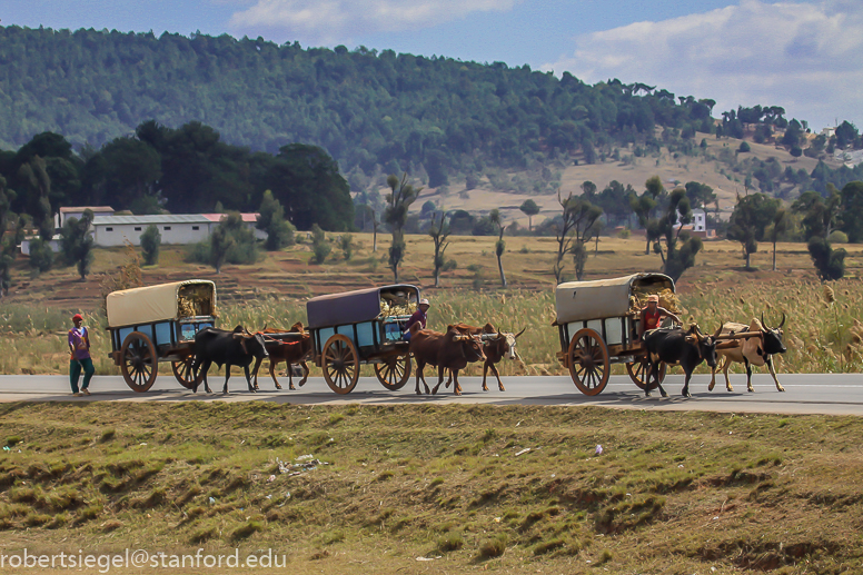 wagon train